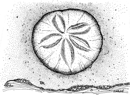 Pen and Ink Drawing